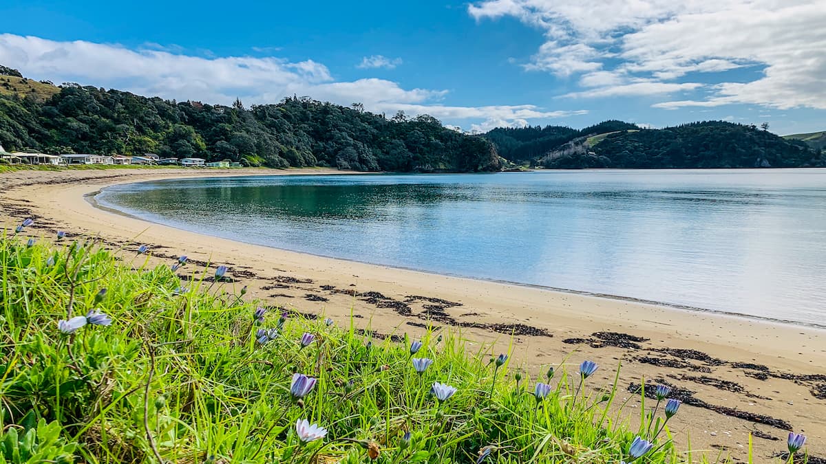 The Best Family-Friendly Activities in Whangarei for New Residents