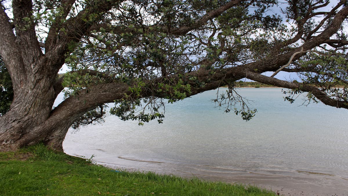 Maximising Your Whangarei Property’s Value