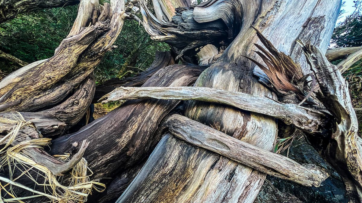 Buyer Focused Content