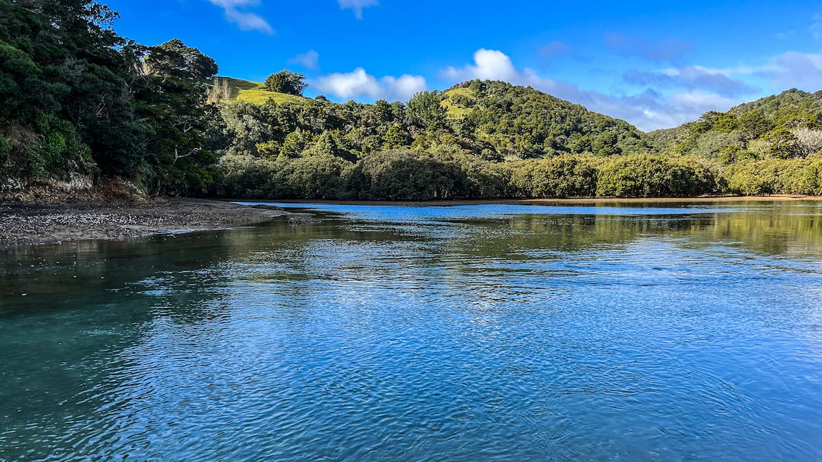 Seller Focused Content